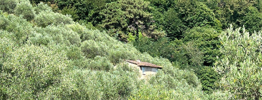 Pietrasanta, Um- und Anbau Casolare, Toskana